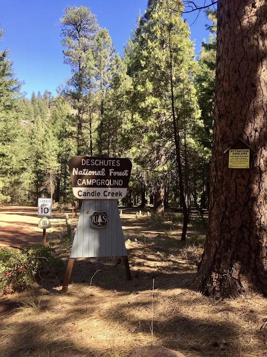 Candle Creek Campground Picture 9