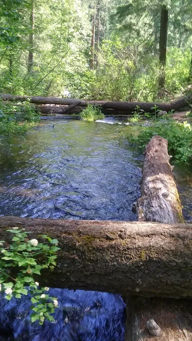 Candle Creek Campground Picture 2