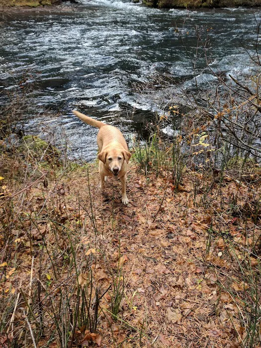 Candle Creek Campground Picture 10