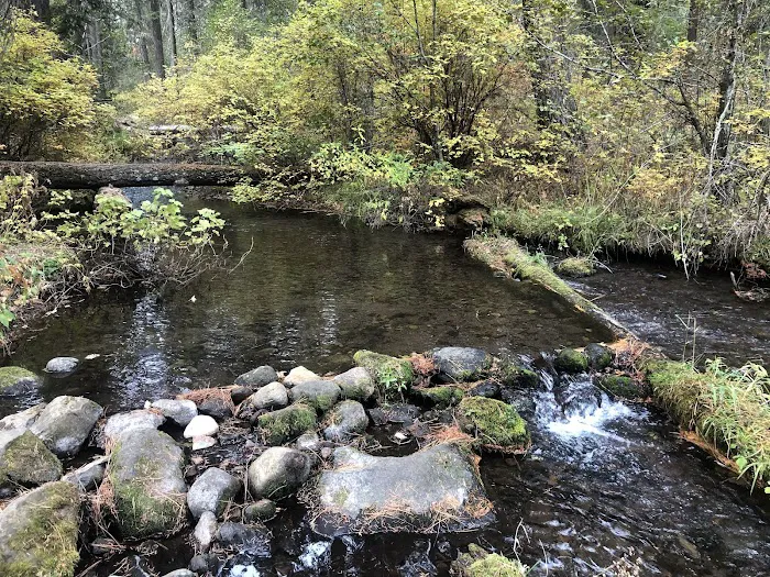 Candle Creek Campground Picture 7