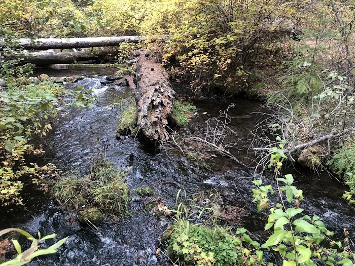 Candle Creek Campground Picture 5