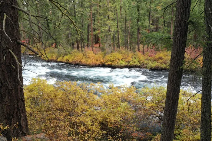 Candle Creek Campground Picture 3
