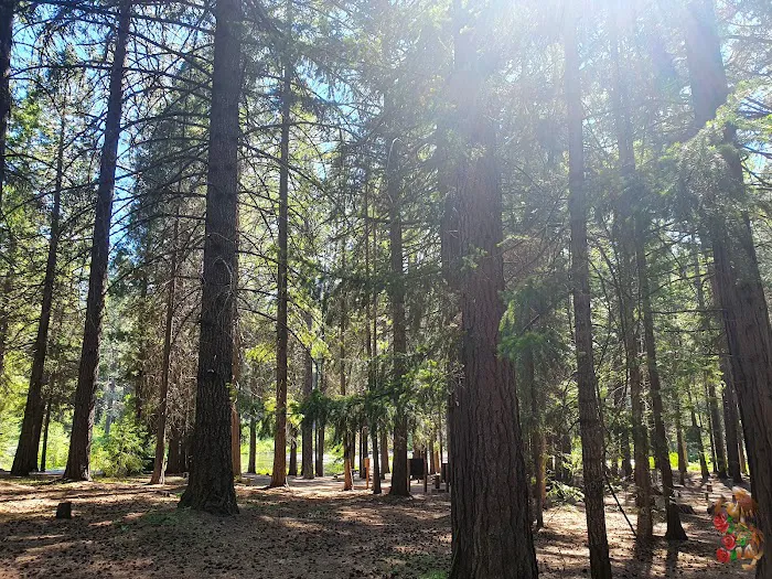 Lower Bridge Campground Picture 6