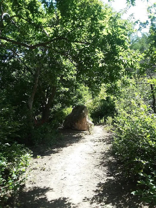 Scott Lake Campground Picture 4