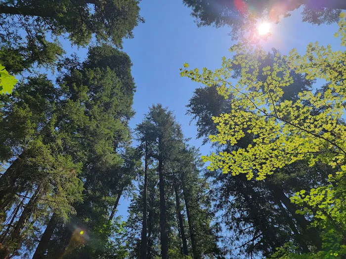 Paradise Campground Picture 7