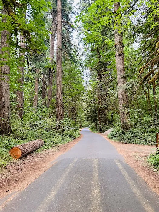 Paradise Campground Picture 5