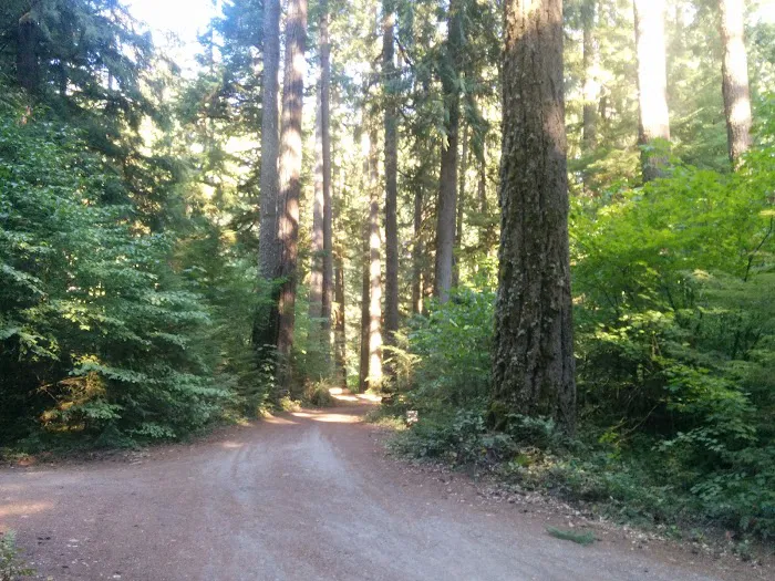 Limberlost Campground Picture 9