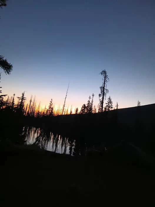 Lava Camp Lake Campground Picture 3