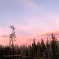 Lava Camp Lake Campground ico