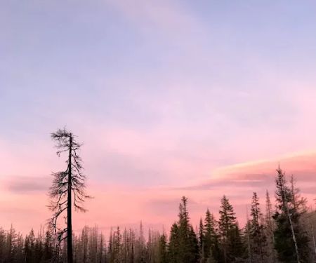 Lava Camp Lake Campground