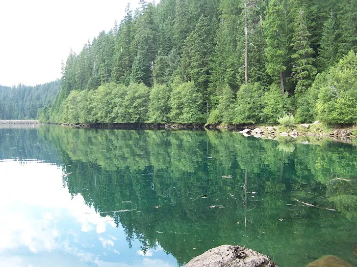 McKenzie Bridge Picture 2