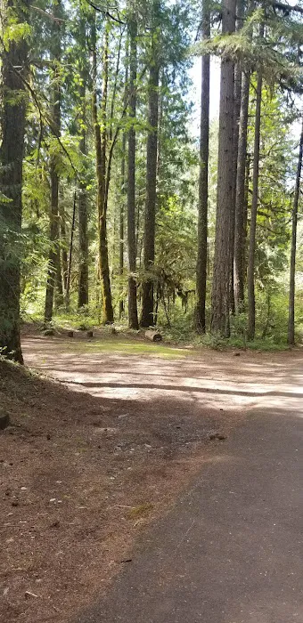 McKenzie Bridge Picture 10