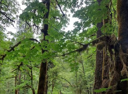 Horse Creek Group Campground