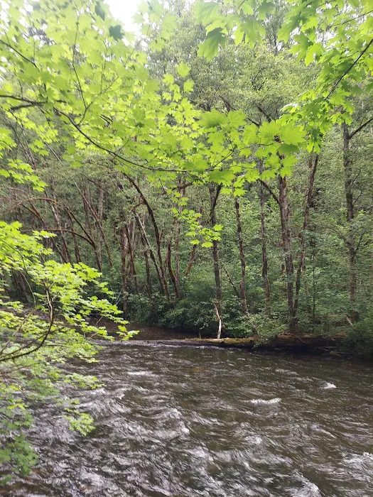 Horse Creek Group Campground Picture 7