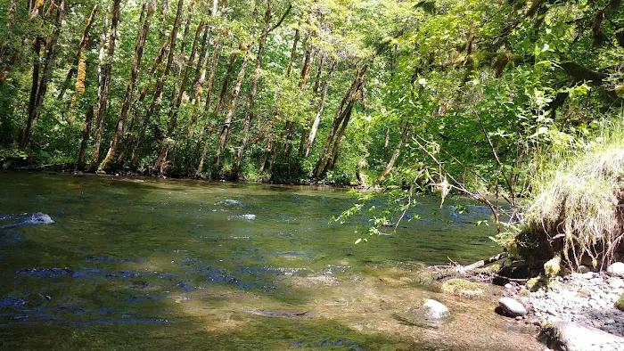 Horse Creek Group Campground Picture 10