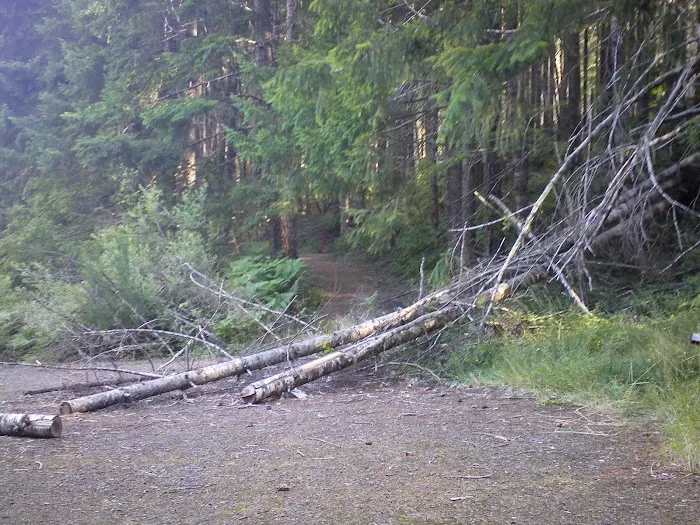 Slide Creek Campground Picture 2