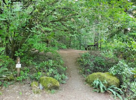 Slide Creek Campground