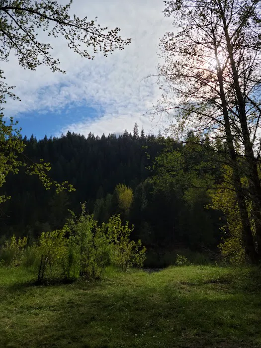Sunnyside Campground Picture 2
