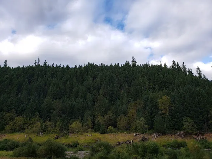 Sunnyside Campground Picture 7