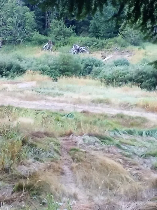 Sunnyside Campground Picture 3
