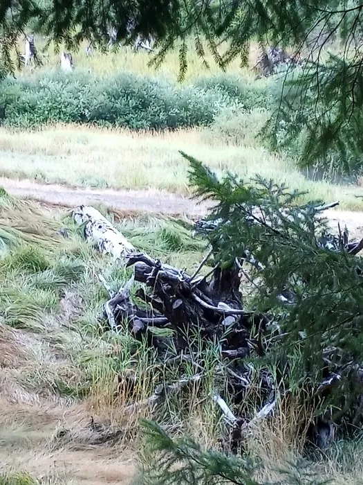 Sunnyside Campground Picture 5