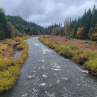 Cougar Crossing Campground And Day Use Area ico
