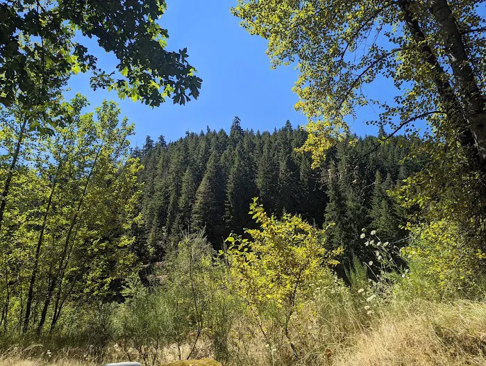 Cougar Crossing Campground And Day Use Area Picture 6