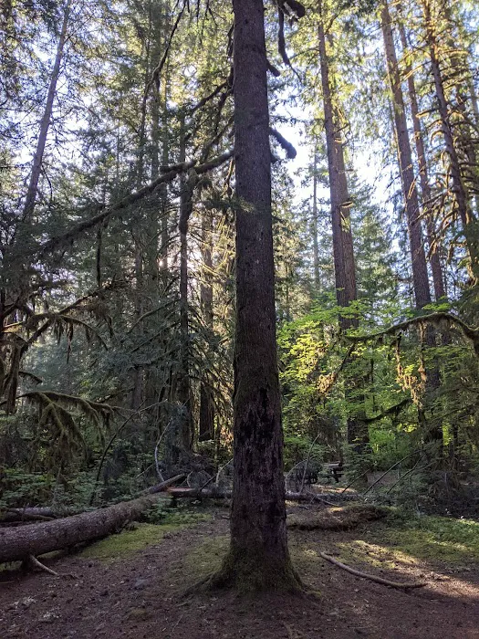 French Pete Campground Picture 6