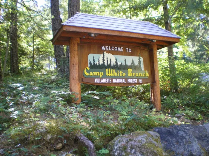 Camp White Branch Picture 3