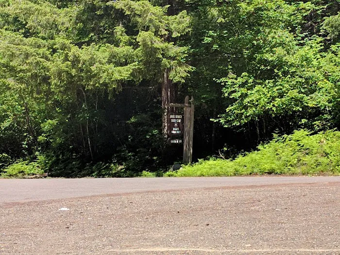 Camp White Branch Picture 6