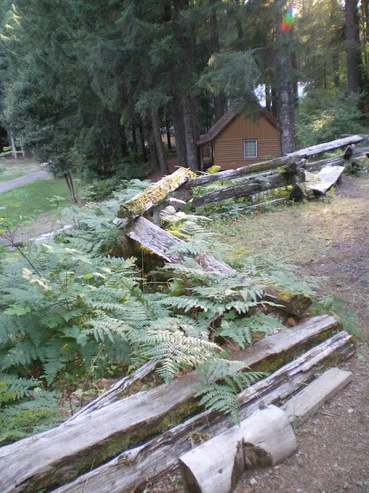 Camp White Branch Picture 5
