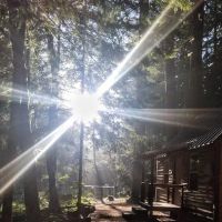 Camp White Branch ico