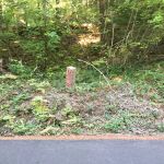 Alder Springs Campground