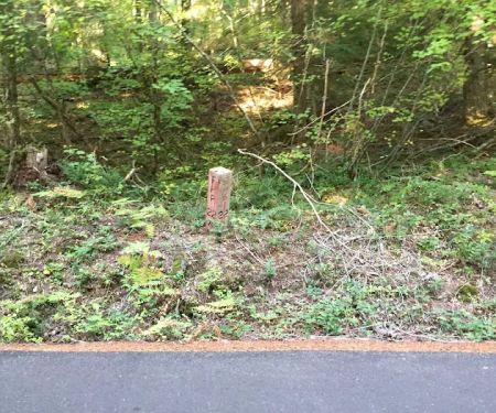 Alder Springs Campground