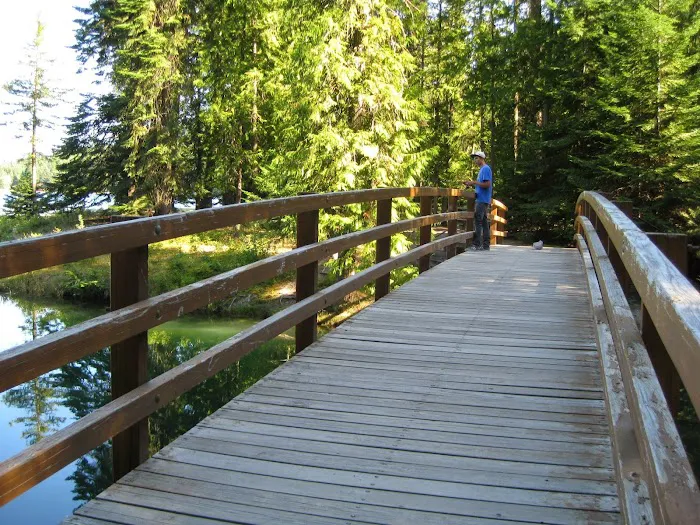 Albeni Cove Campground Picture 8