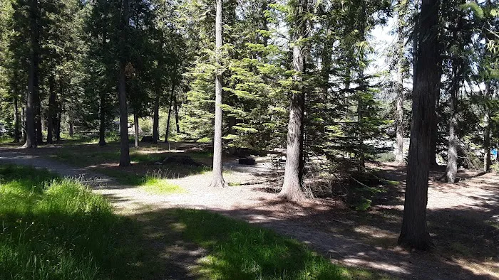 Albeni Cove Campground Picture 10