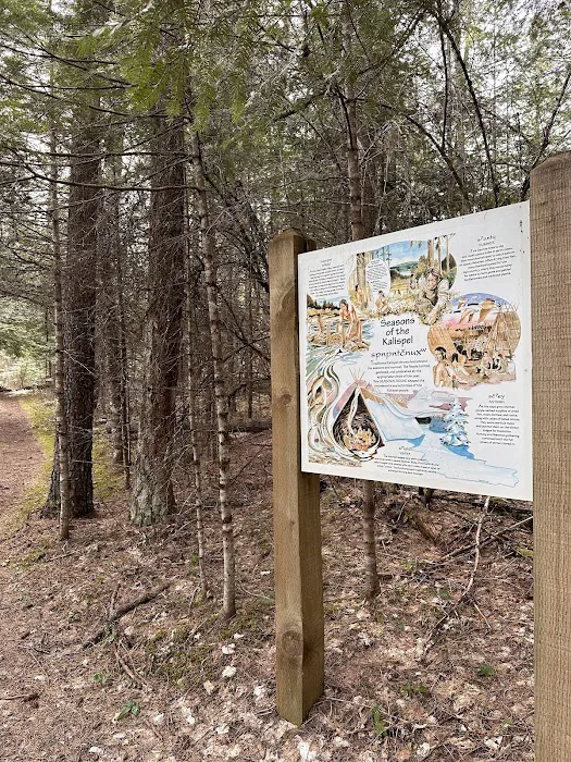 Pioneer Park Campground Picture 5