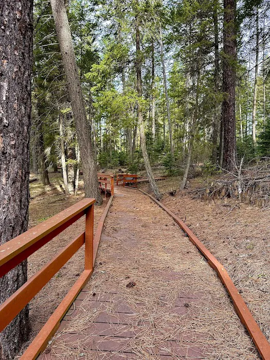 Pioneer Park Campground Picture 2