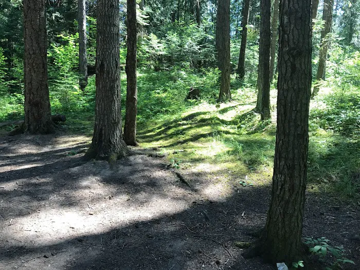 Pioneer Park Campground Picture 8