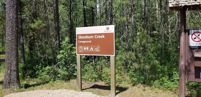 Skookum Creek Campground Picture 6