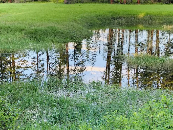 Skookum Creek Campground Picture 4