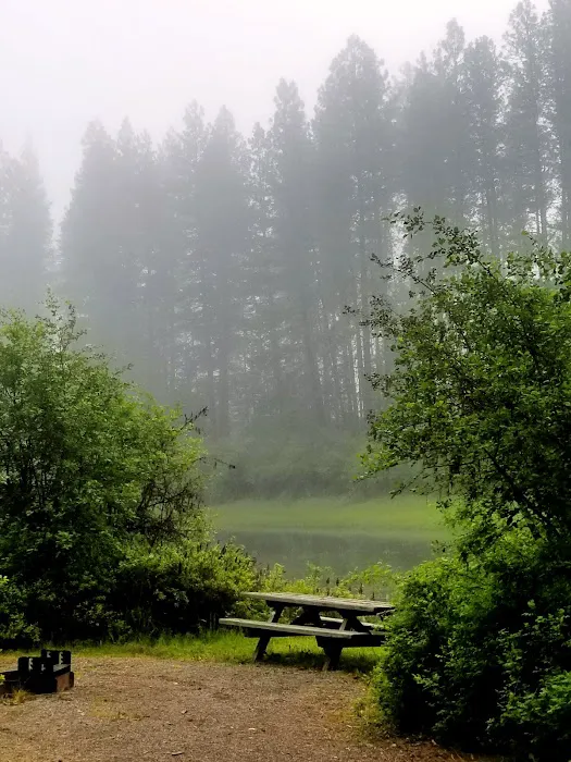 Skookum Creek Campground Picture 5