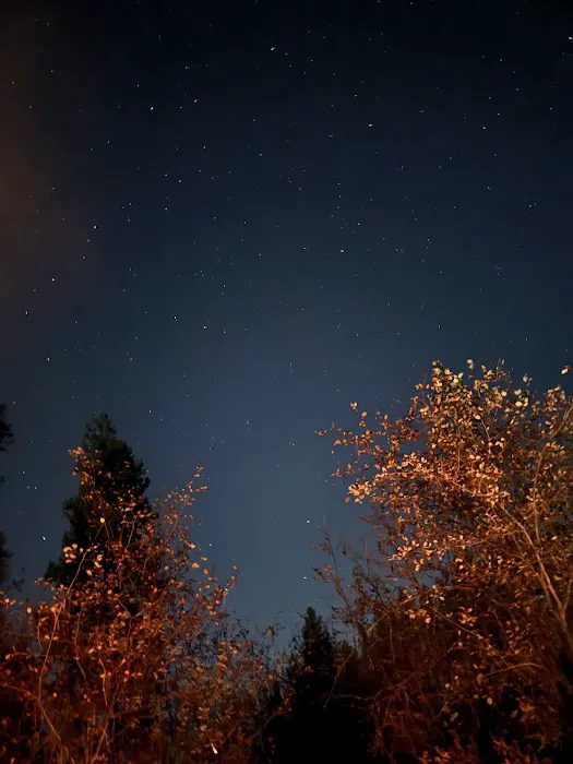 Skookum Creek Campground Picture 8