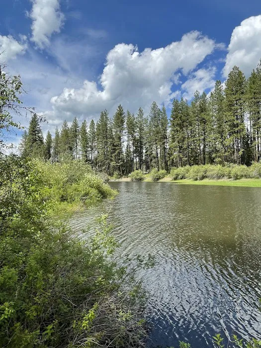 Skookum Creek Campground Picture 2