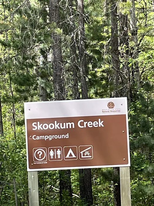 Skookum Creek Campground Picture 1