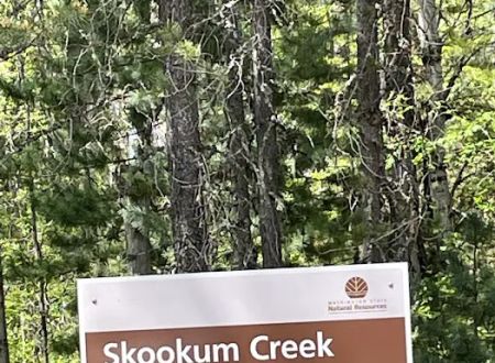 Skookum Creek Campground