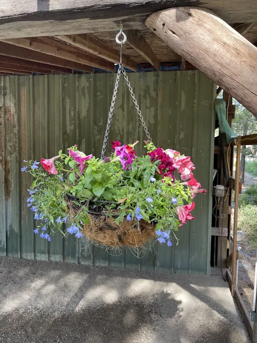Nature Sings Farm and Gardens LLC Picture 2