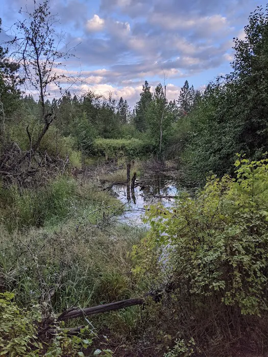 Liberty Lake Regional Park Camp Ground Picture 7