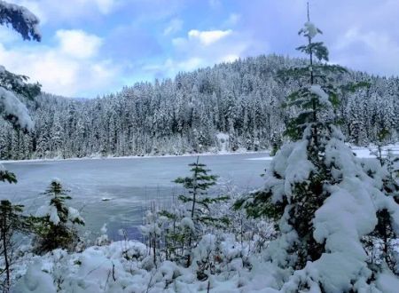 South Skookum Lake Campground