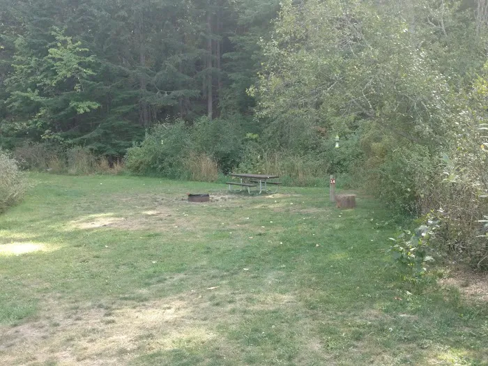 Mica Bay Boater Park Picture 5